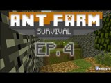 Minecraft Ant Farm Ep.4 by HeatFox
