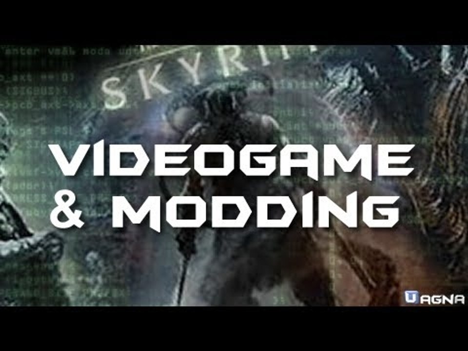 L'importanza del modding nei Videogames