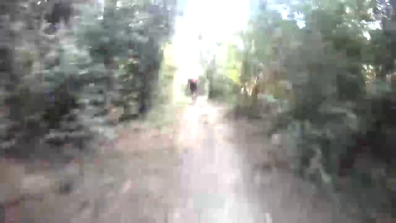 Frigolet trail