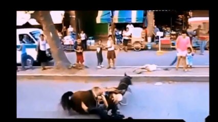 Funny Animals videos_HOT girl Vs Horse Fail compilation_Drunk sexy girls,Funny fails_new