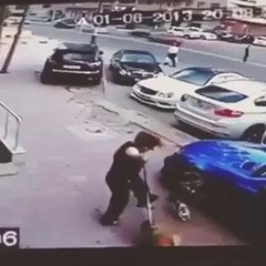 Kedi kavga istiyor. Zavallı köpek