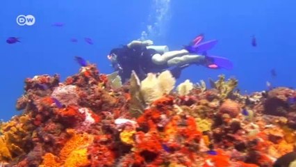 العالم عبر شاشة DW | مراسلون حول العالم