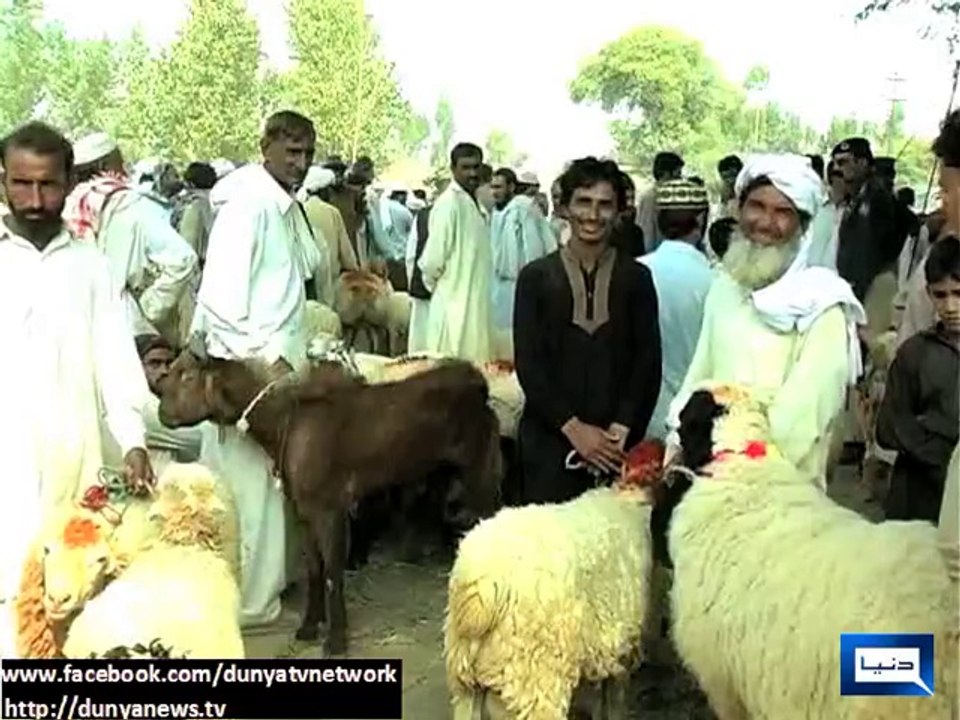 Eid ul Adha Prices are Less as Compare to Last Year_ Funvidclub