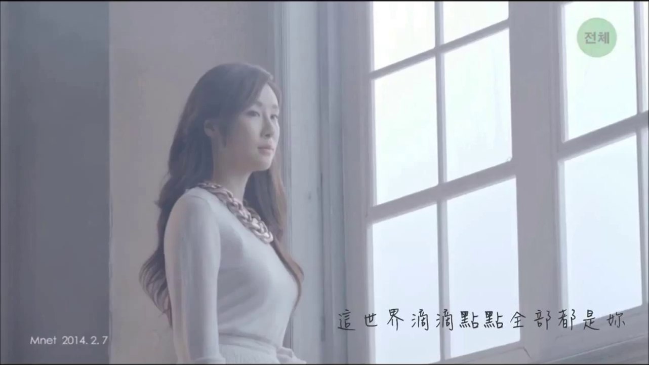 張力尹 -- 那些年 (中文歌詞)