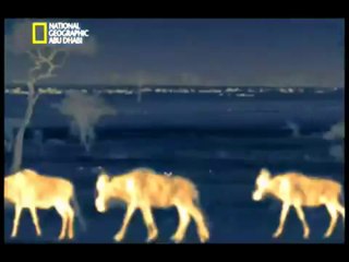 فيلم #وثائقي ليل الأسود _ الحلقة الأولى _ HD