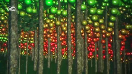 El bosque virtual | Visión futuro