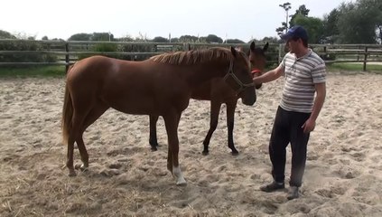 PRESENTATION DE DEESSE DE BOMO PAR J.LAGENEBRE