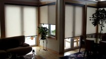 Gibsons View Motorized Roller Shades Battery Powered
