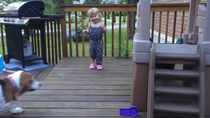 Küçük Çocukla Köpeğin Sevimli oyunu