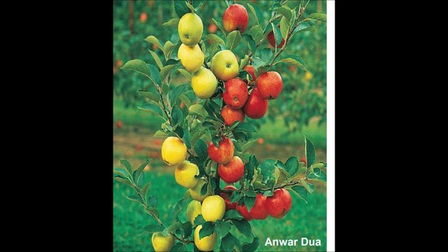 73-SURAH MUZZAMMIL BEST By SUDAIS