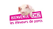 Bienvenue chez les éleveurs de porcs