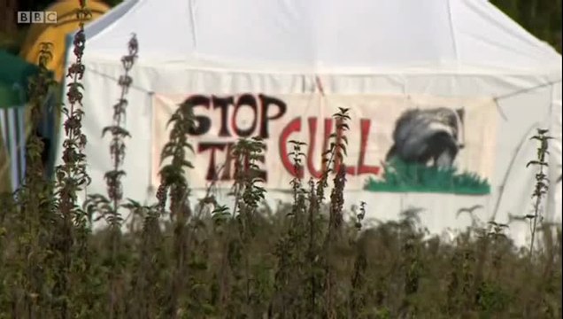 BBC1_Points West 7Sept14 on 2nd round of badger cull