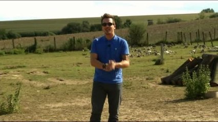 "Consommé et Approuvé", par Nicolas Rieffel (05/09/14)