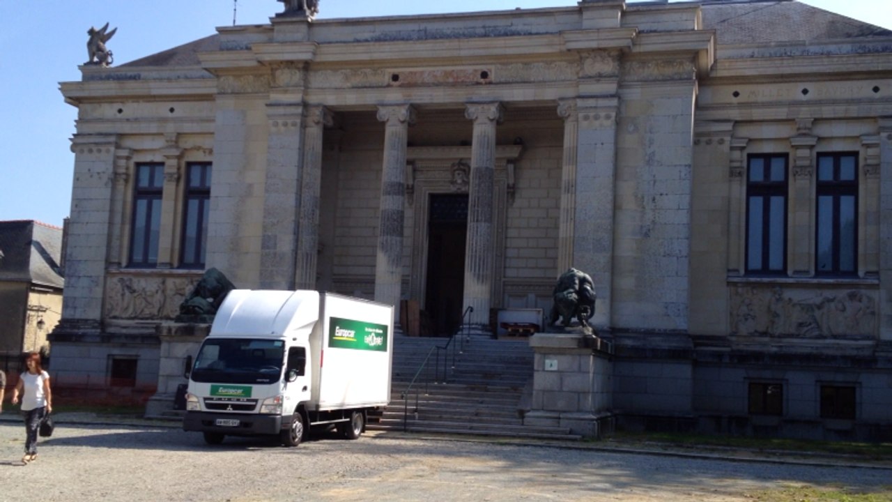 De l'ivoire au musée des sciences