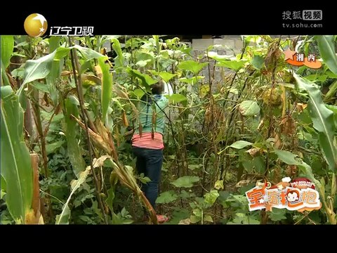 20140908 宝宝抱抱 香港宝宝横店探班