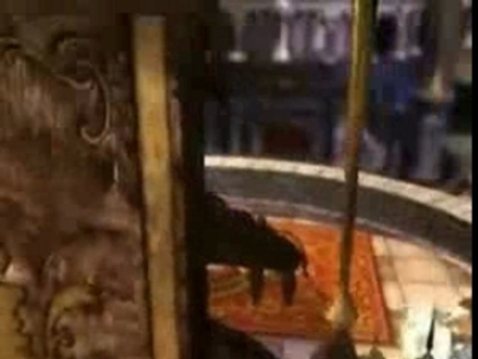 Sorry final fantasy