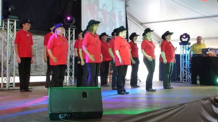 Auftritt #3 am 5. Juli 2014 auf dem Lusanfest