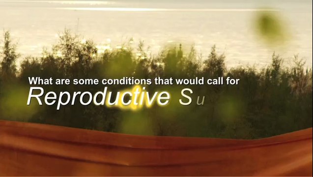 Reproductive Surgery - Omaha, Lincoln, Bellevue, Council Bluffs