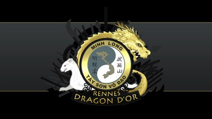 Arts Martiaux Minh Long Rennes