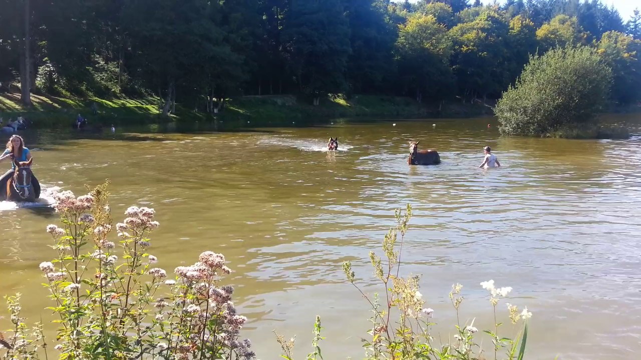 vernet la Varennes 5