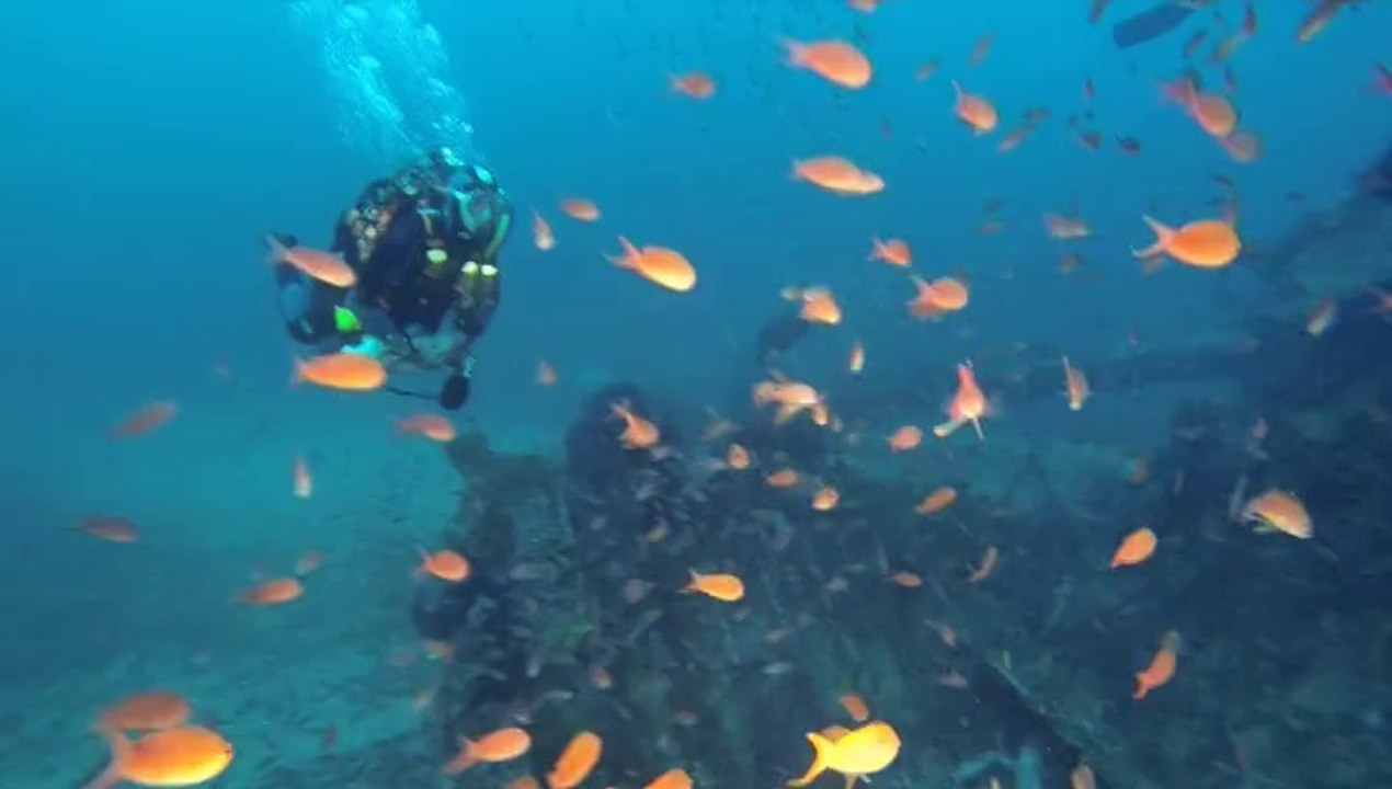 Avant de l'épave du Grec