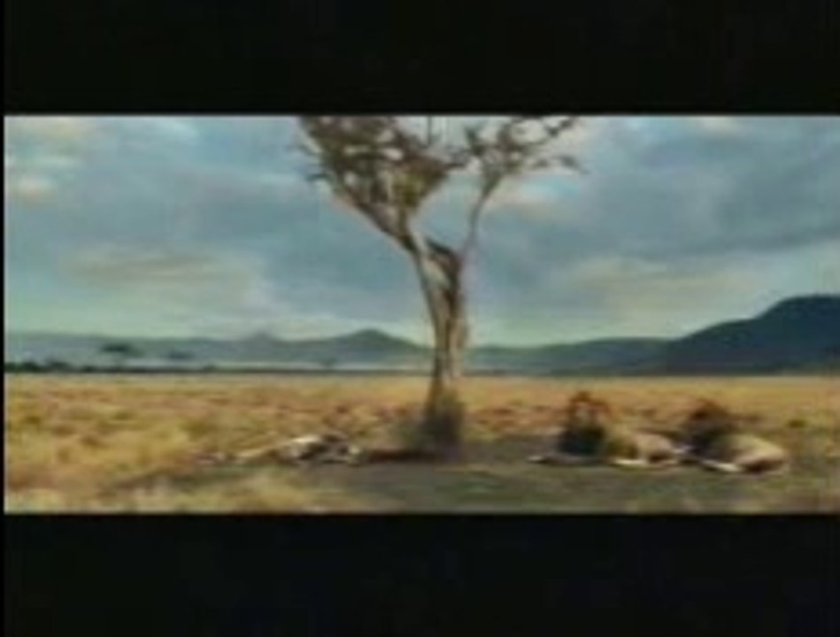animal-suiside