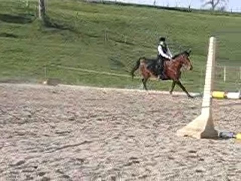 Bamboula et Moi concours deguisé 1