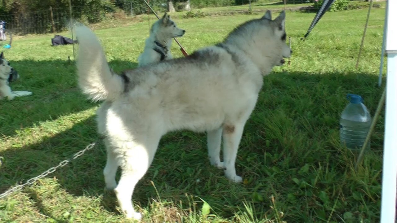 Petite fête sur la commune de Bubry dans le Morbihan