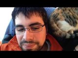 Vardoc Random Life ( Parte 298 ) #Vardoc1 #Vlog : Cats Simpaticos 05/01/2014