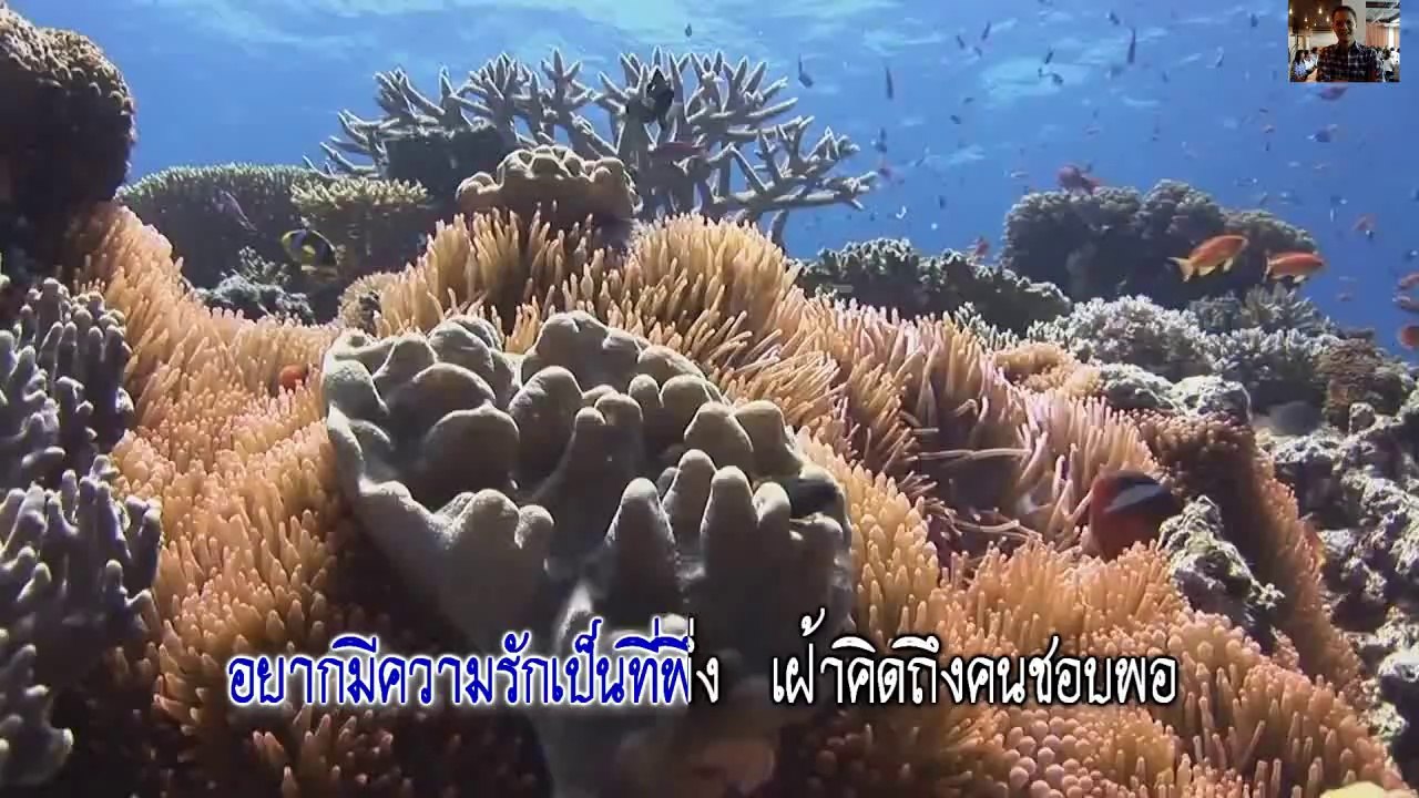 ลมหายใจแห่งความคิดถึง - แมคอินทอช ..mv karaoke
