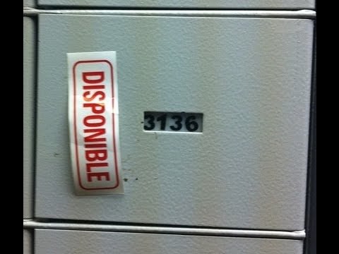 Psu , Ragnarok , Navidad , Casilla de Correos y Pajaros Informativo