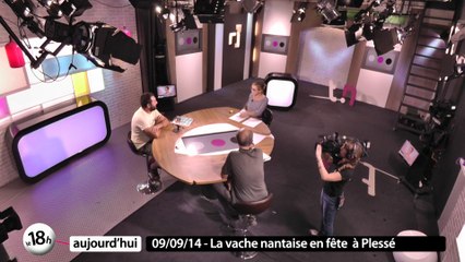 Gobio Robots / Fête de la vache nantaise