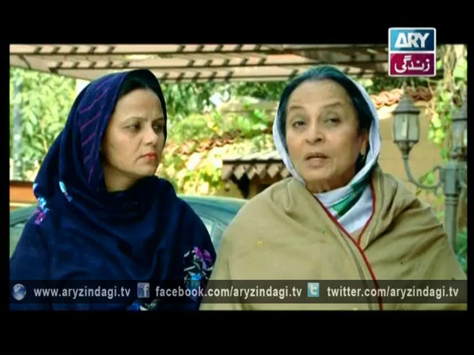 Pulsirat 26th August 2014