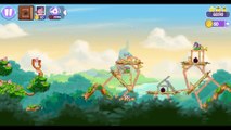 Angry Birds Stella Wall of Pigs Level 1 Walkthrough ★★★