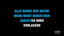 Der Hölle Rache in the Style of _Traditional_ with lyrics (with lead vocal)