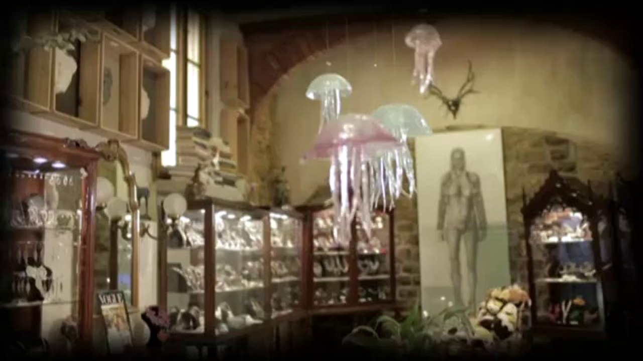 TV3 - ÀNIMA - PROMO ÀNIMA