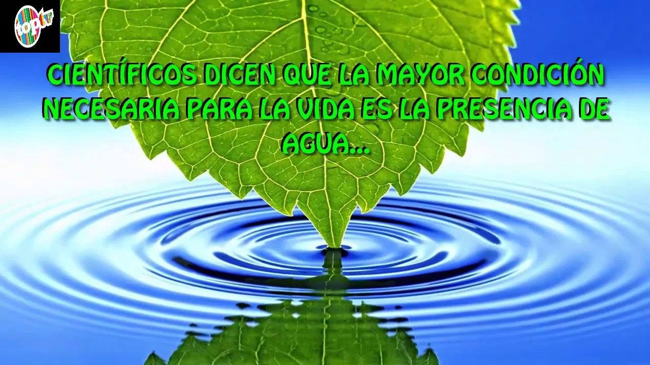 ¿ HAY VIDA EN MARTE