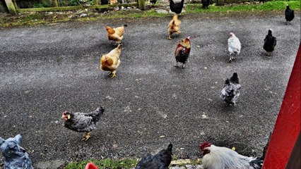 James Murray Photography