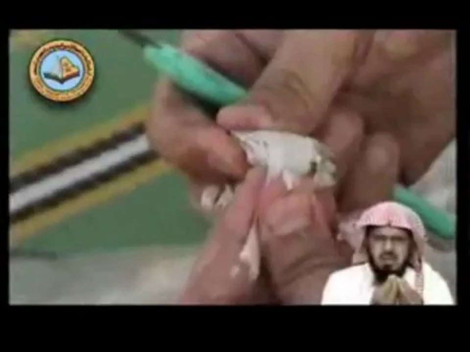 018 Rent a jin-sooth saying.wmv