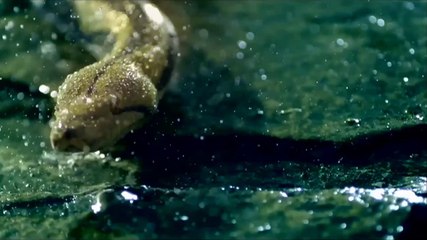 Storical Slow Music Mix (HD 720p)