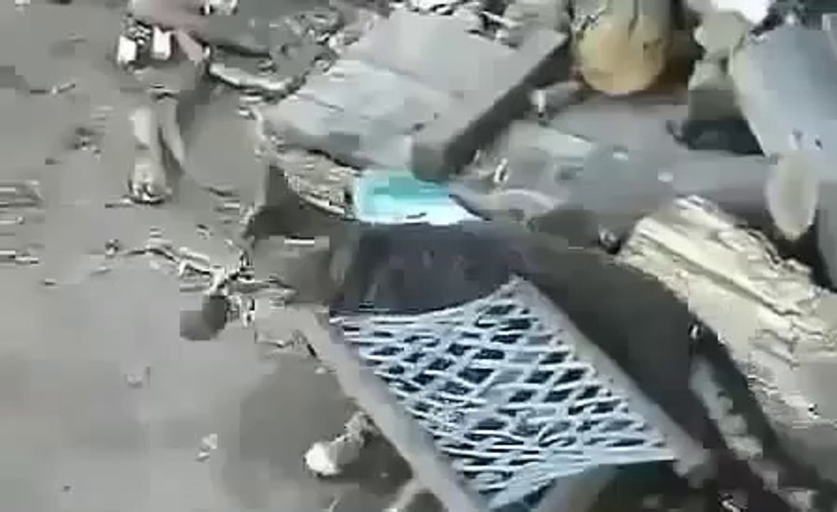 Funny animals videos, Witzige Tiere Videos, Divertidos videos de animales part 10 ~ Best Funny Ani