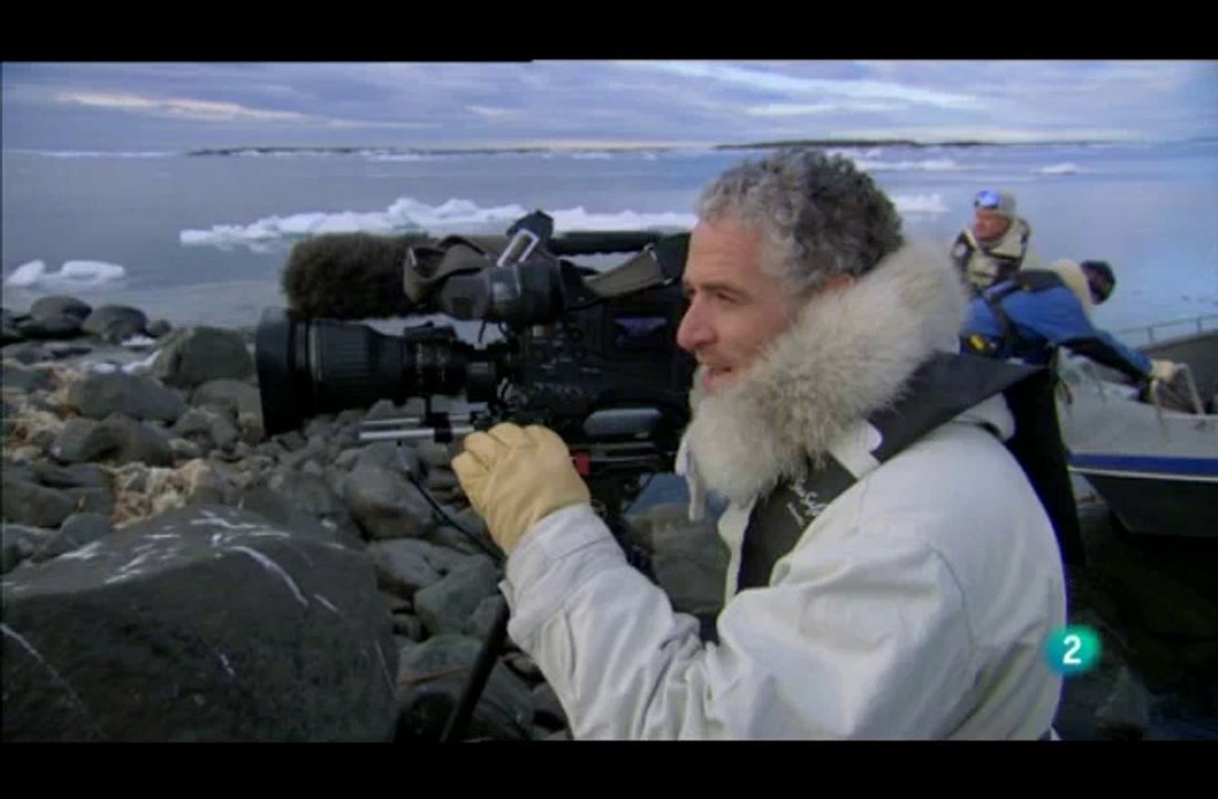 0908151824DVB-TLa2_7 Osos del artico II 2 de 8