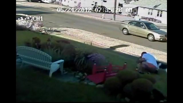 When Crazy Animals Attack Pitbull attacks walking dogs, Authorities take no action ~ Best Funny An
