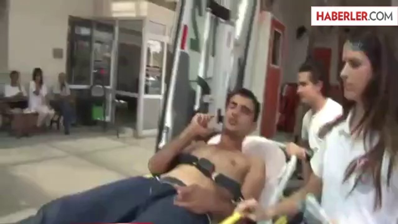 Bonzai Bu Hale Getirdi