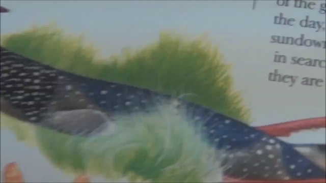 Entertainer Imagines the Humorous Thoughts of Sharks