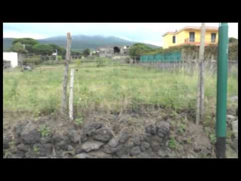 Torre del Greco (NA) - Ucciso a colpi di pistola mentre è in auto -2- (06.09.14)