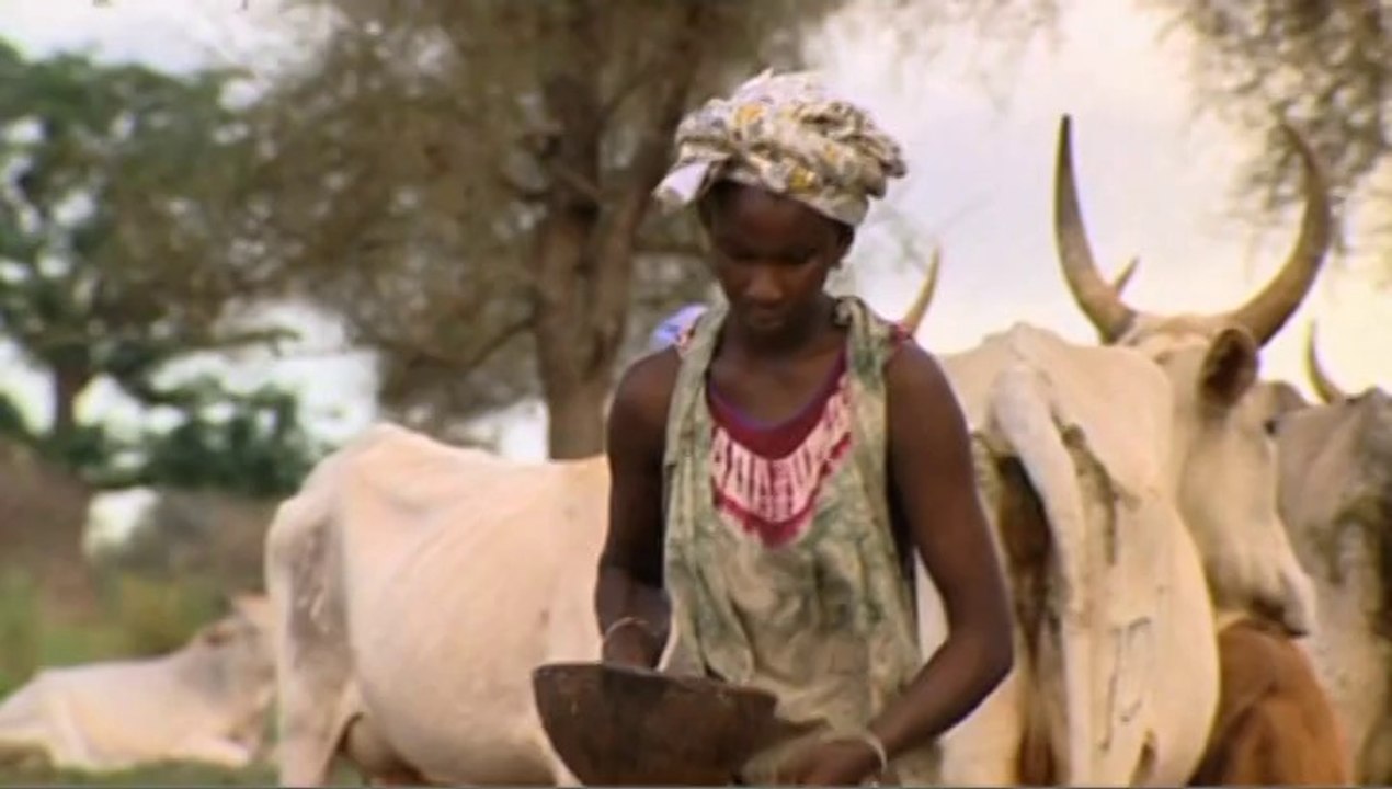 Danone, du lait et de l'eau pour nourrir le monde - Bande annonce BFM Business