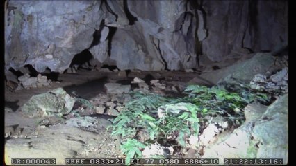 ลุงบุญมีระลึกชาติ Uncle Boonmee ฉากถูกตัด 7