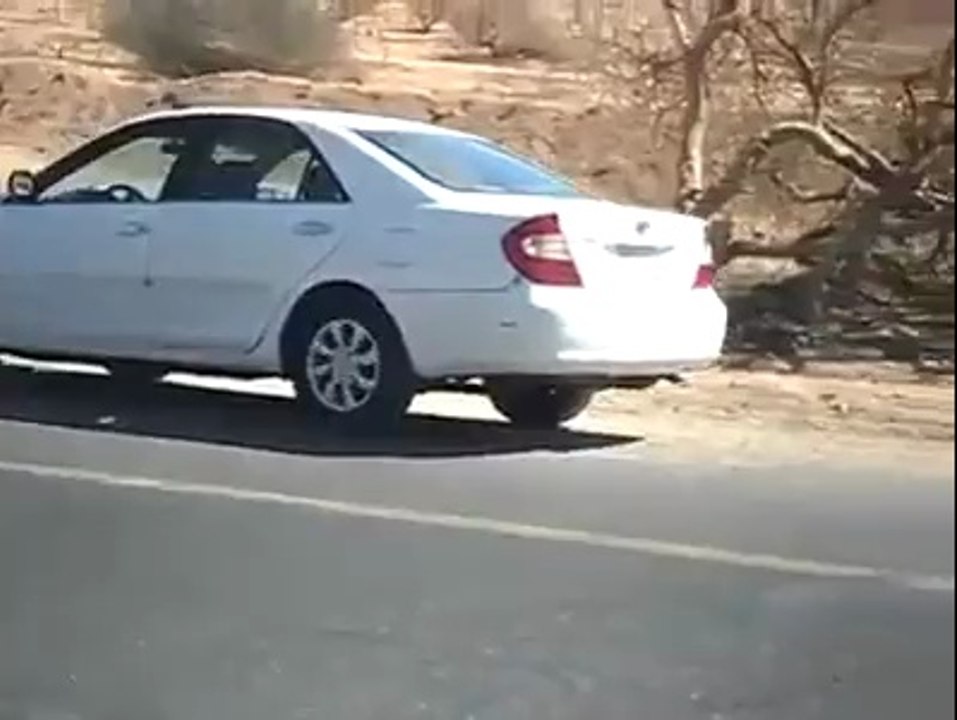 Wadi e Jinn / wadi baiza وادئ جن مدینہ شریف