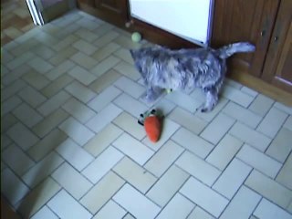 Jaudy sait jouer au foot,lol